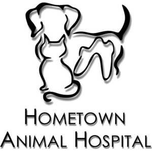 Hometown Animal Hospital - Weston, FL