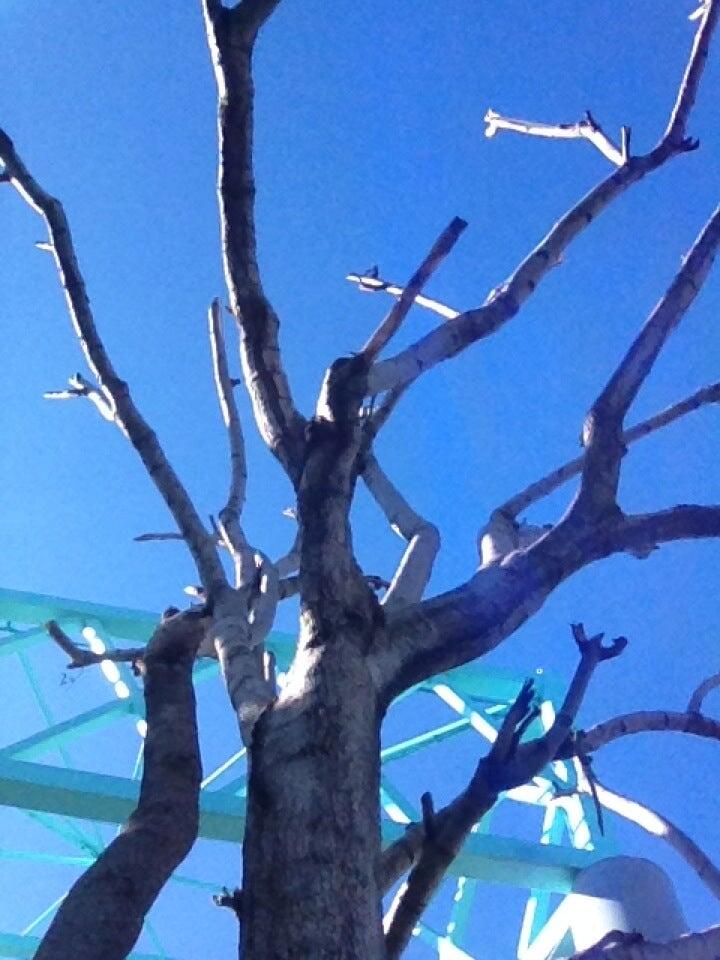 Rosecrans Car Wash San Diego, CA Nextdoor