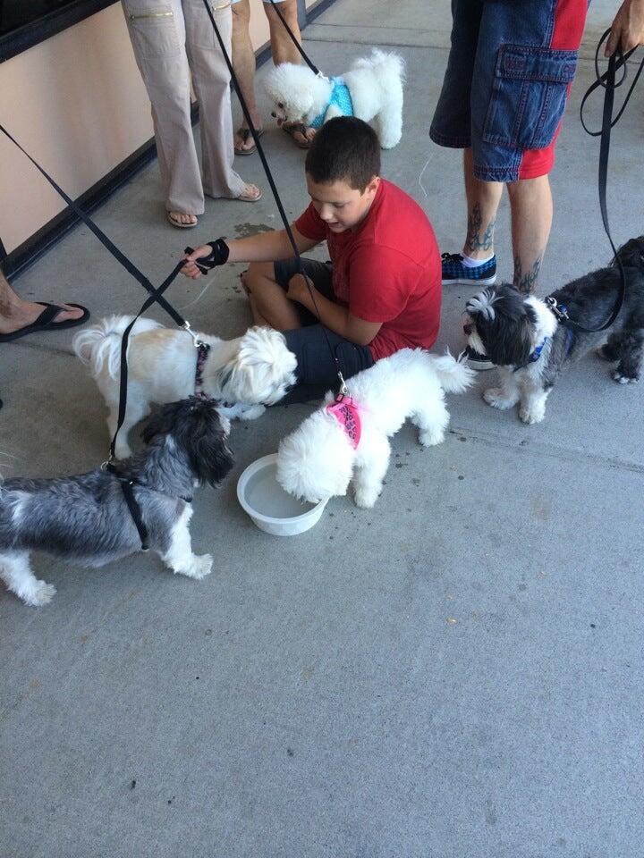 Incredible Pets of Carmichael