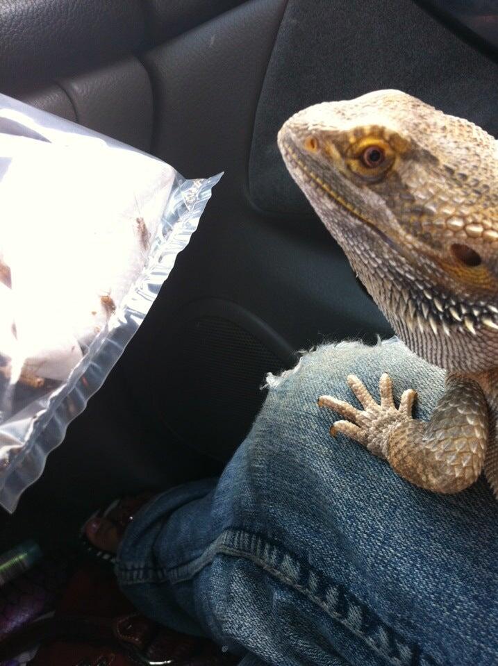 Pet Food Center Newburgh