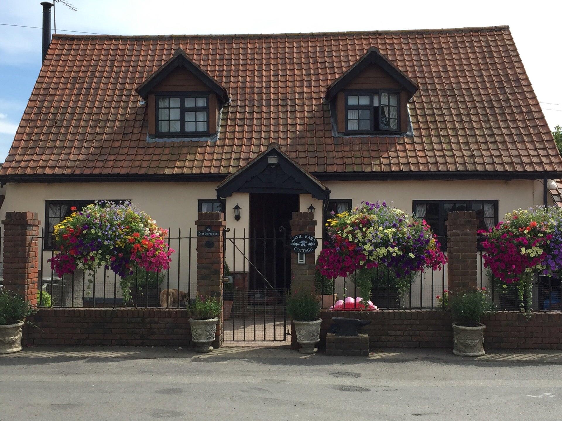 London & Essex Kent's Farm Kennels & Catteries North Weald Nextdoor