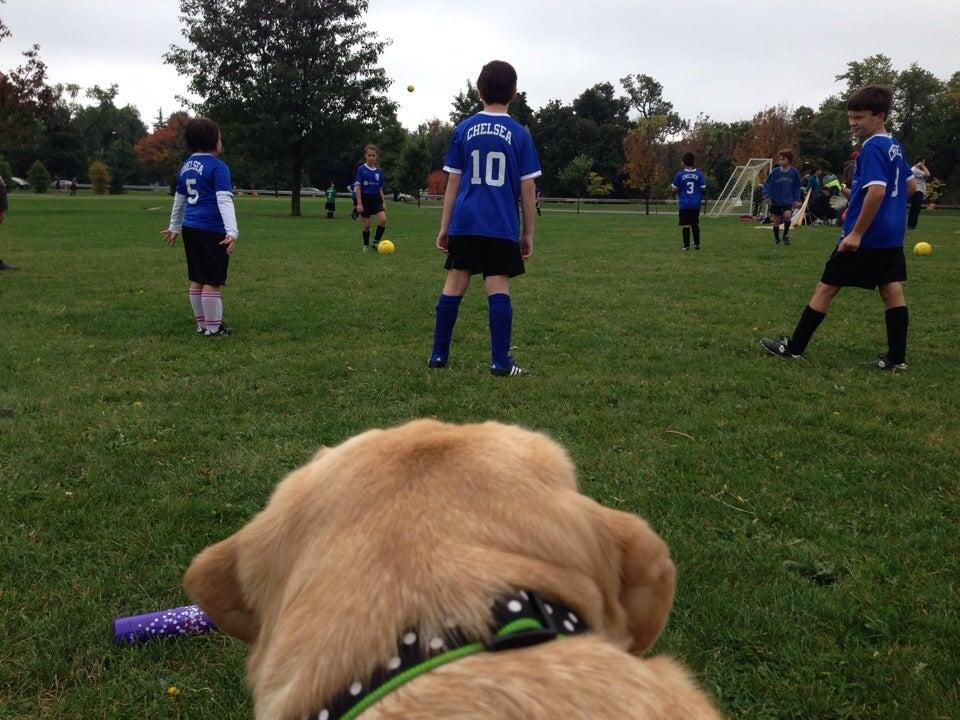 Delaware Park Soccer Fields Buffalo, NY Nextdoor