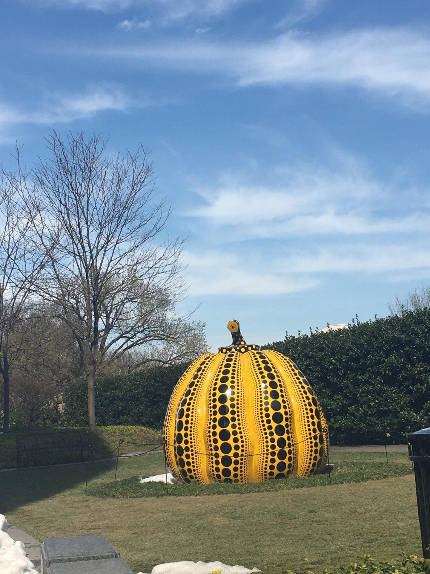 Yayoi Kusama Infinity Mirrors Washington, DC Nextdoor