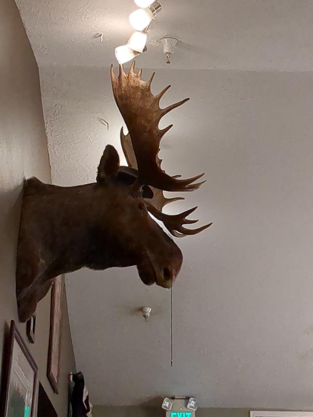 Mad Moose Cafe Eden, UT Nextdoor