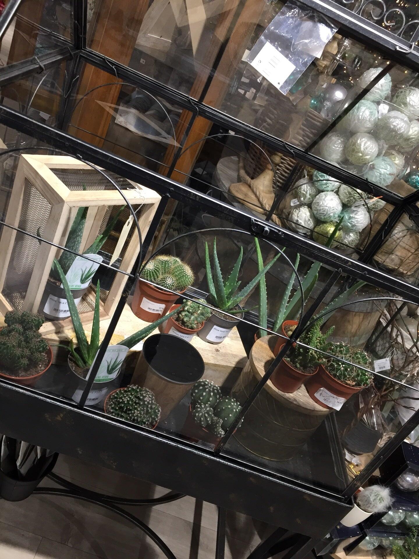 Mid Ulster Garden Centre Maghera Nextdoor