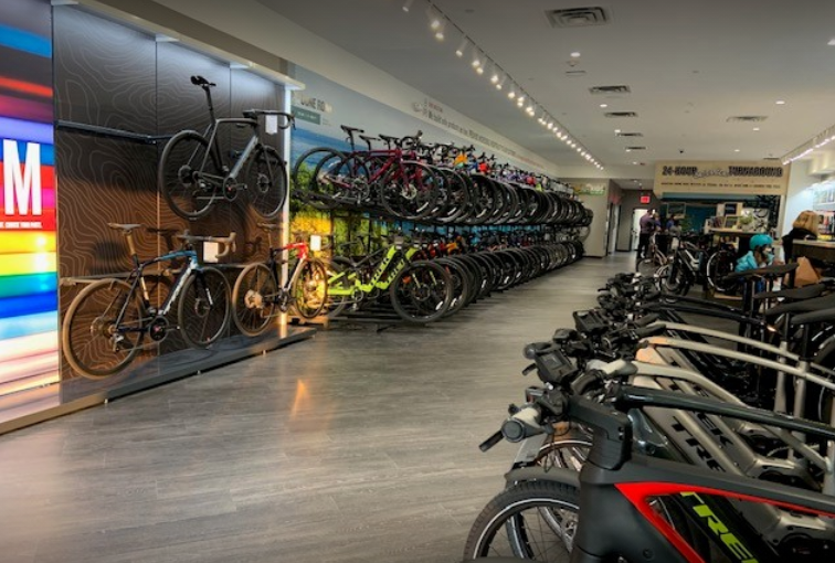 electric bicycle foldable Tern Vektron Q9