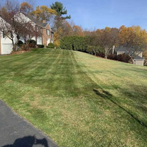 Savino Bros Landscaping 1, Quality Lawn And Landscape Bros