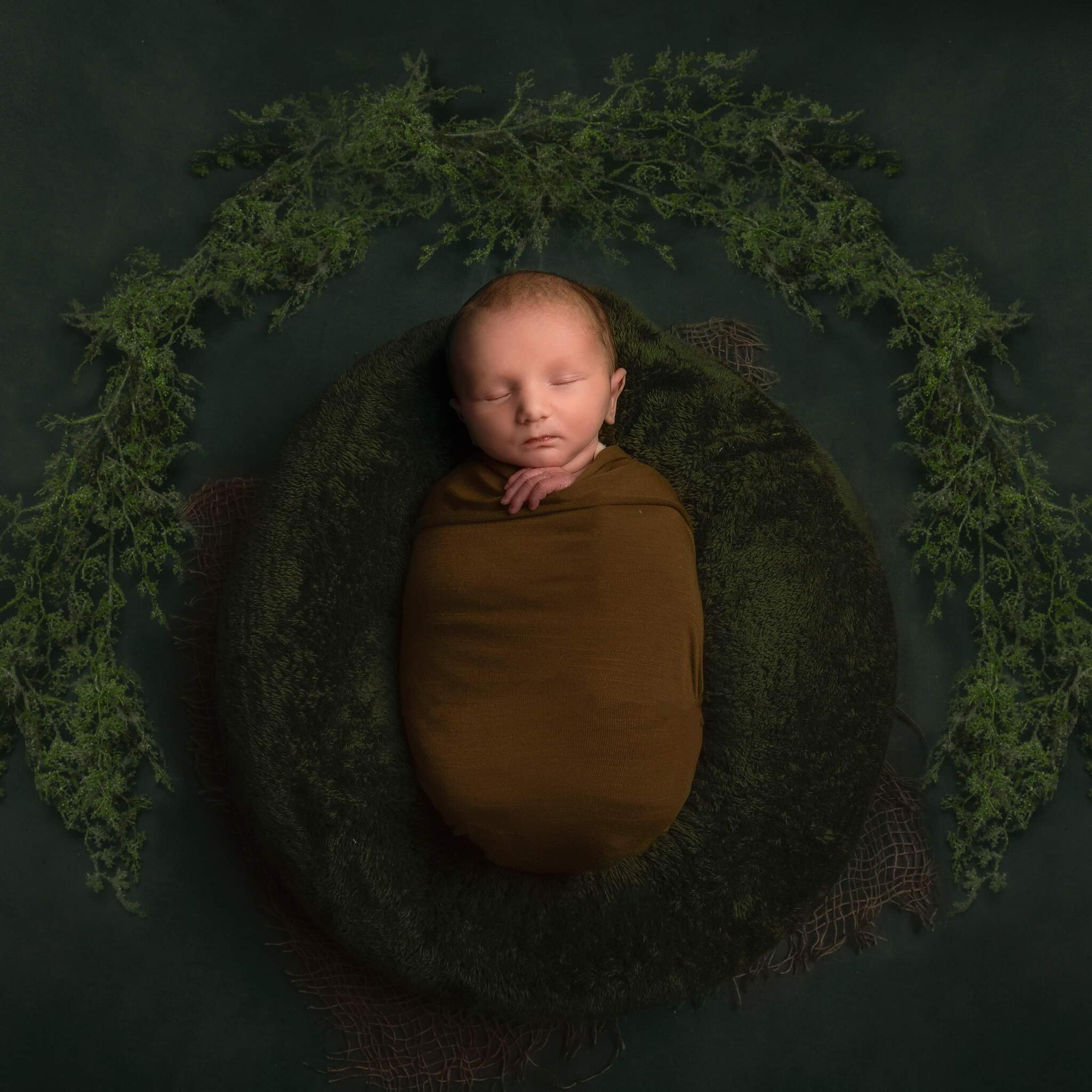 In The Frame Photography Ltd Hemel Hempstead Nextdoor