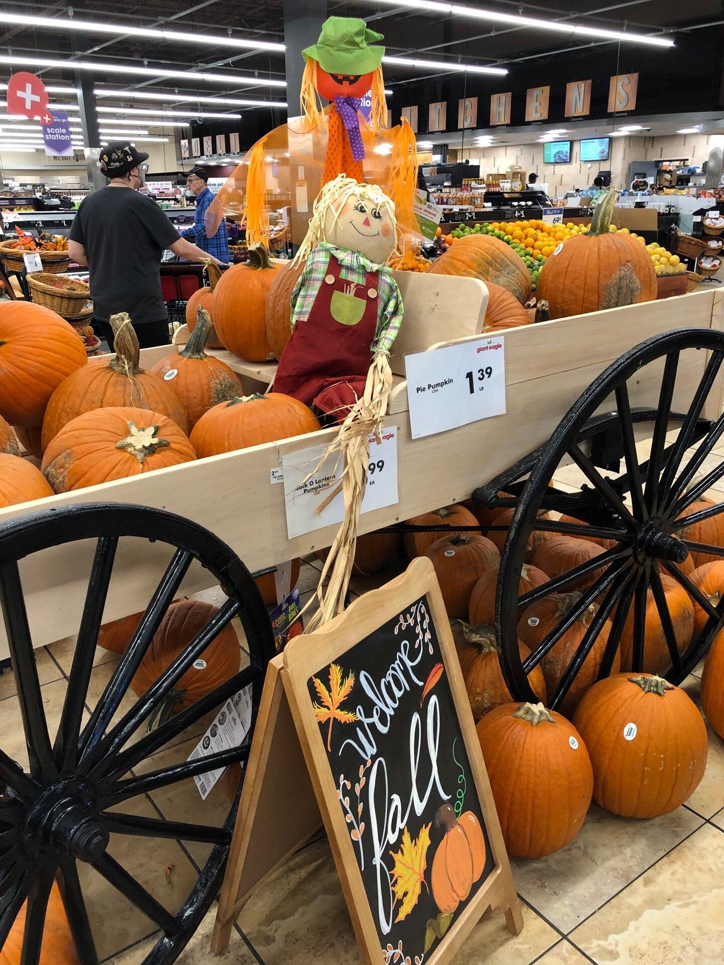 Giant Eagle Flowers Irwin Pa Best Flower Site