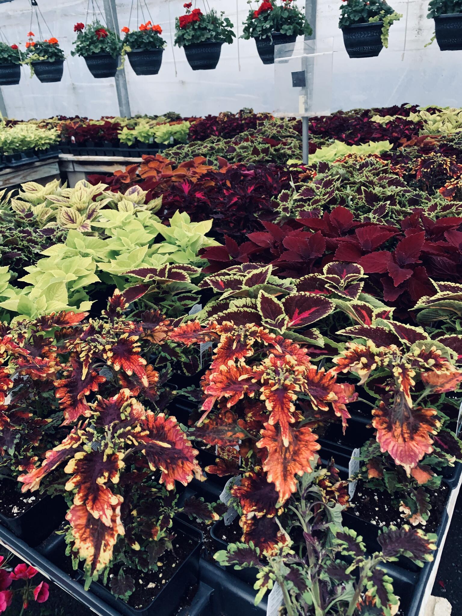 Lewisberry Gardens - Lewisberry, PA - Nextdoor