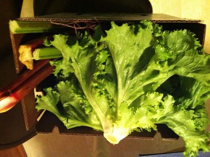 Pleasant Valley Gardens Methuen, MA Nextdoor