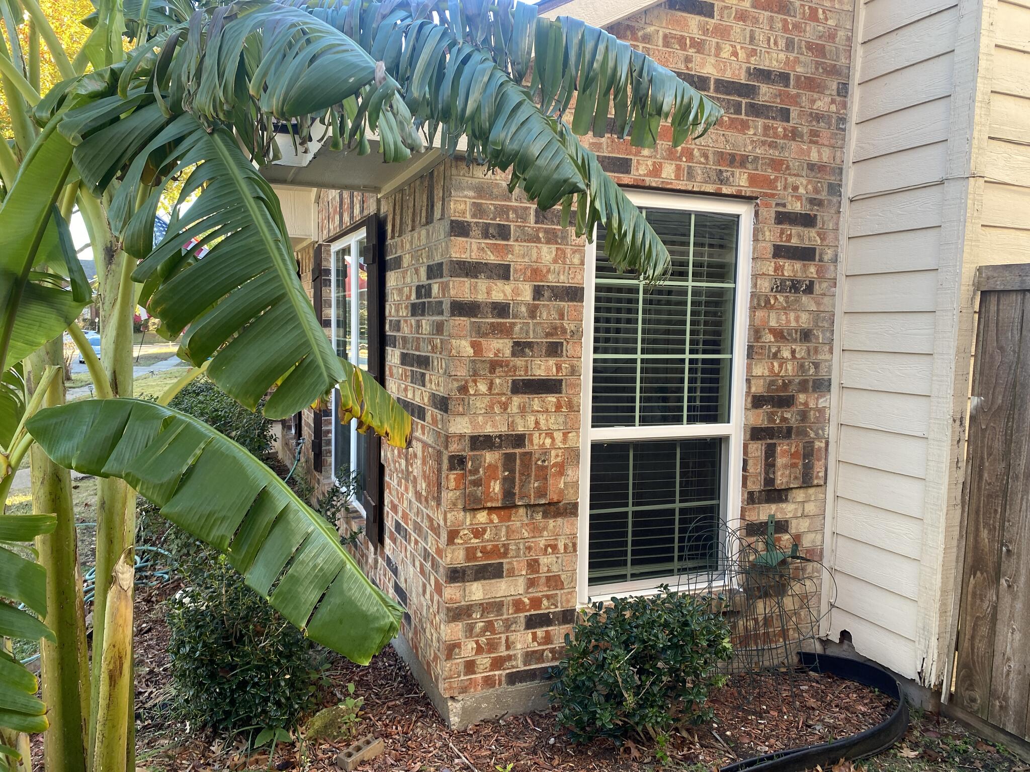 All Clear Windows - Carrollton, TX - Nextdoor