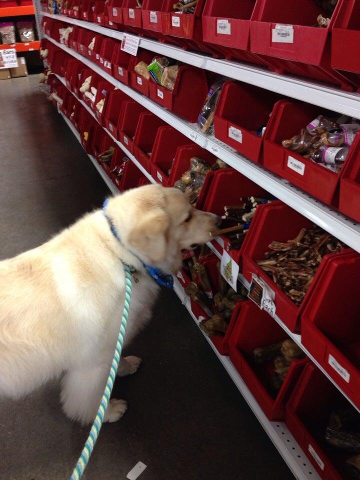 Mounds pet food store best sale