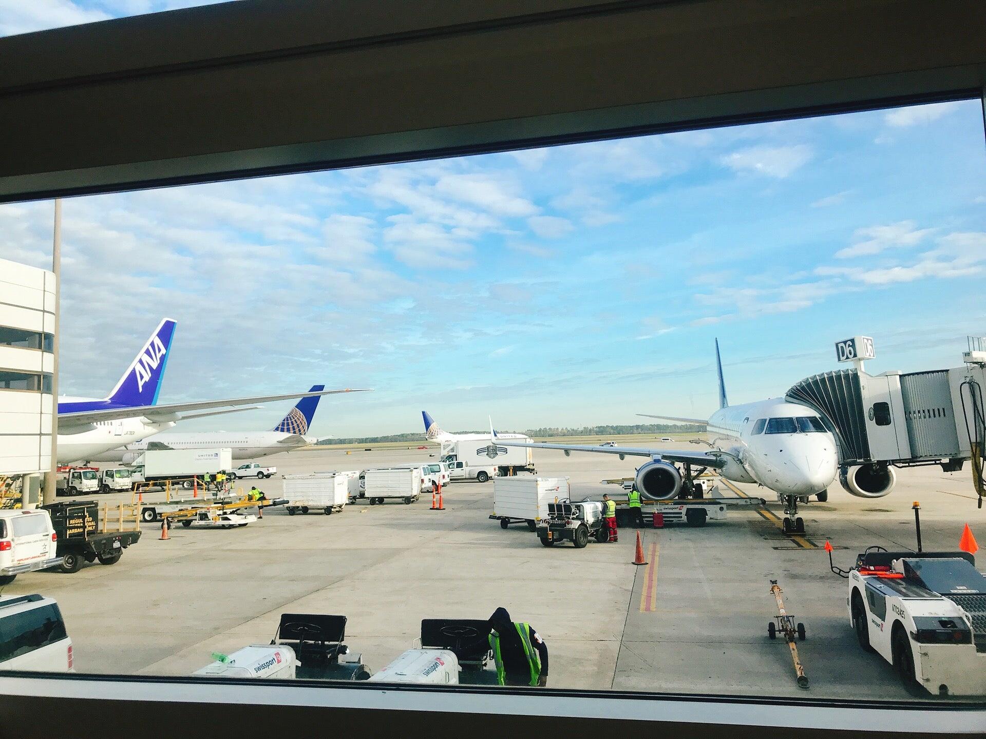 Houston International Airport Terminal D Pet Relief Nextdoor