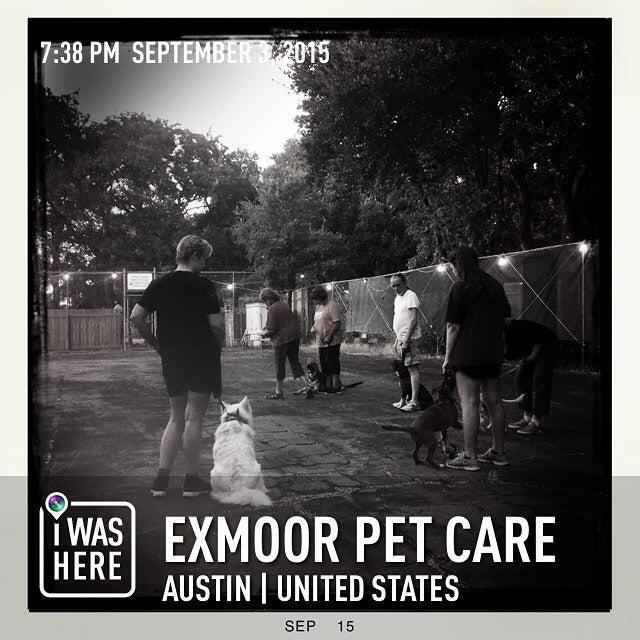 Exmoor Pet Care Services Austin TX Nextdoor