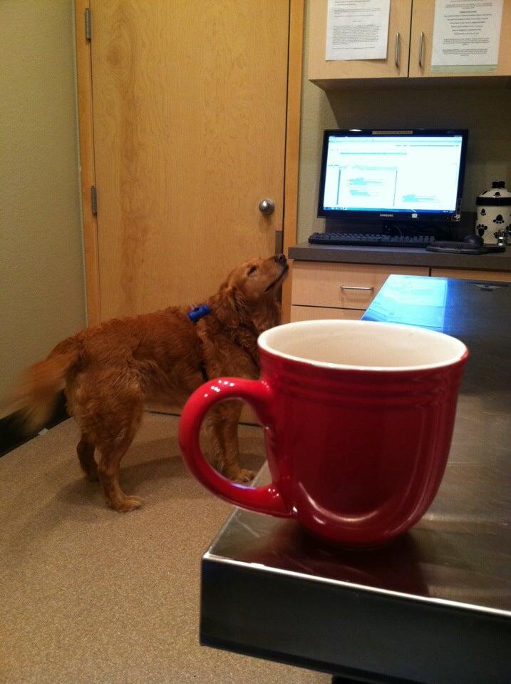 Overland Animal Hospital Denver, CO Nextdoor