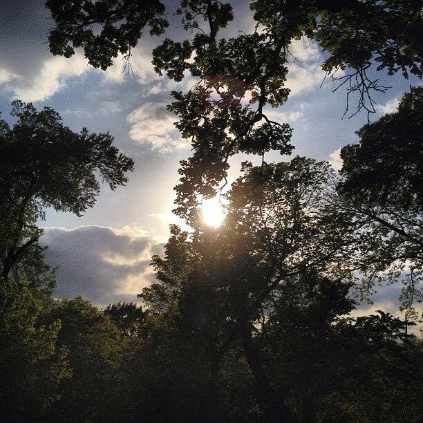 Moss Soccer Fields Dallas, TX Nextdoor