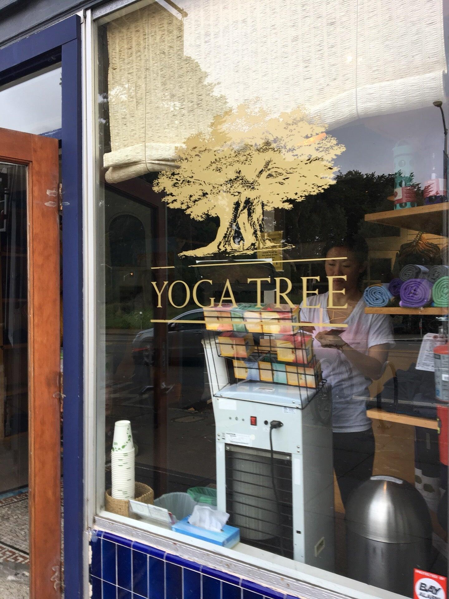 Yoga Tree Stanyan San Francisco Ca