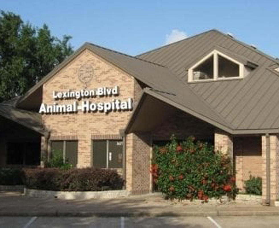 Vca shops sugar grove animal hospital