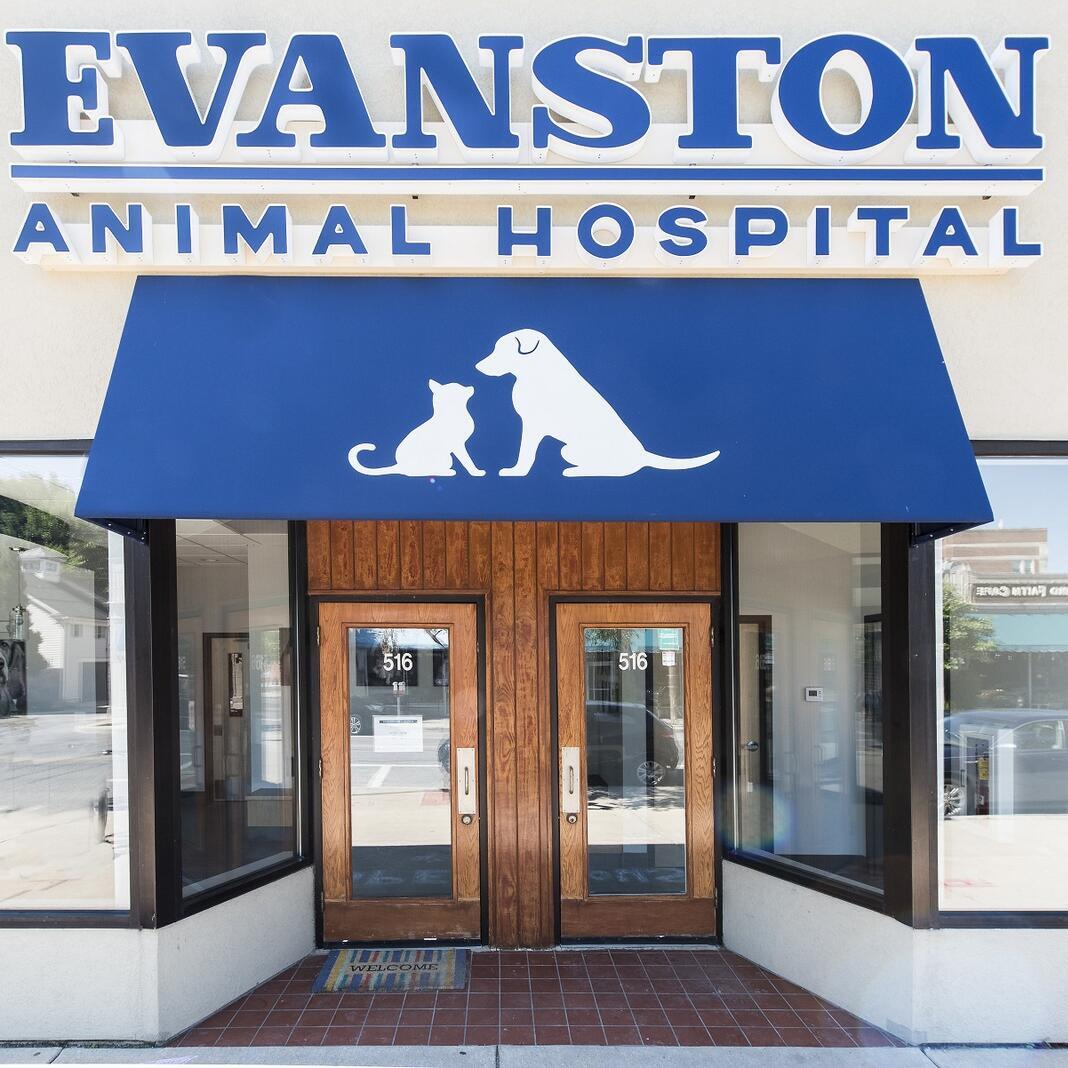 Evanston Animal Hospital - Evanston, IL
