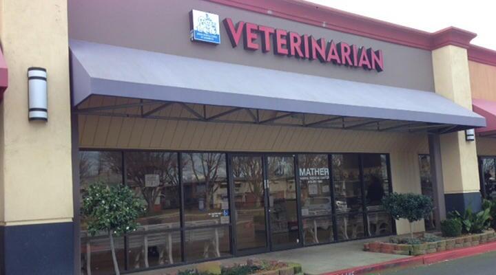 Vca mather hot sale animal hospital