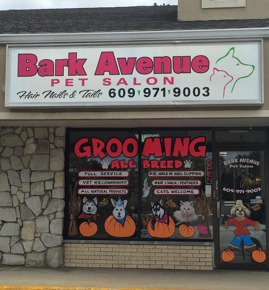 Bark avenue pet store best sale