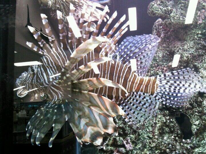 Wet Pets And Friends