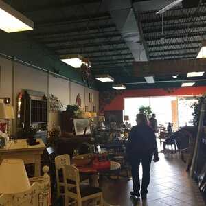 The Savvy Fox Consignment Shops