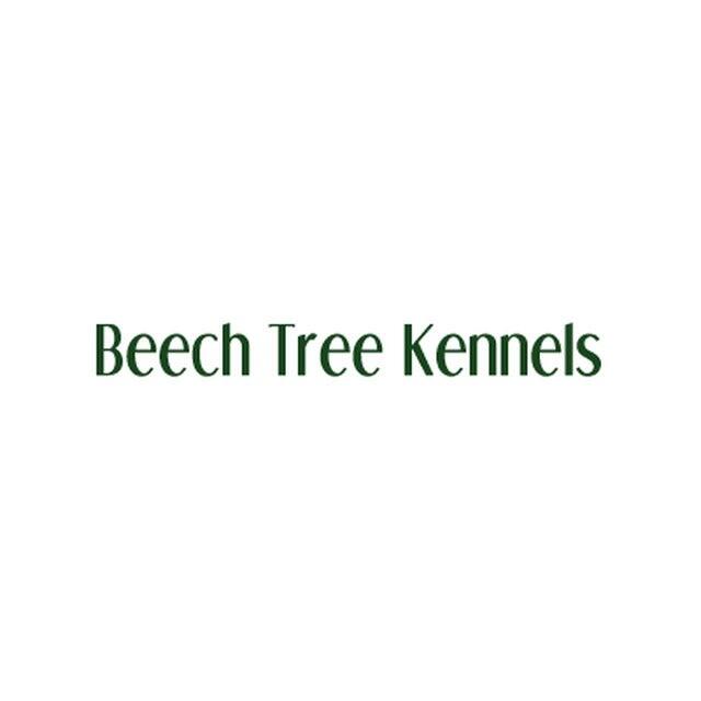 Beech Tree Kennels Lisburn Nextdoor