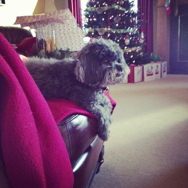 Briarwood Country Club Ankeny, IA Nextdoor