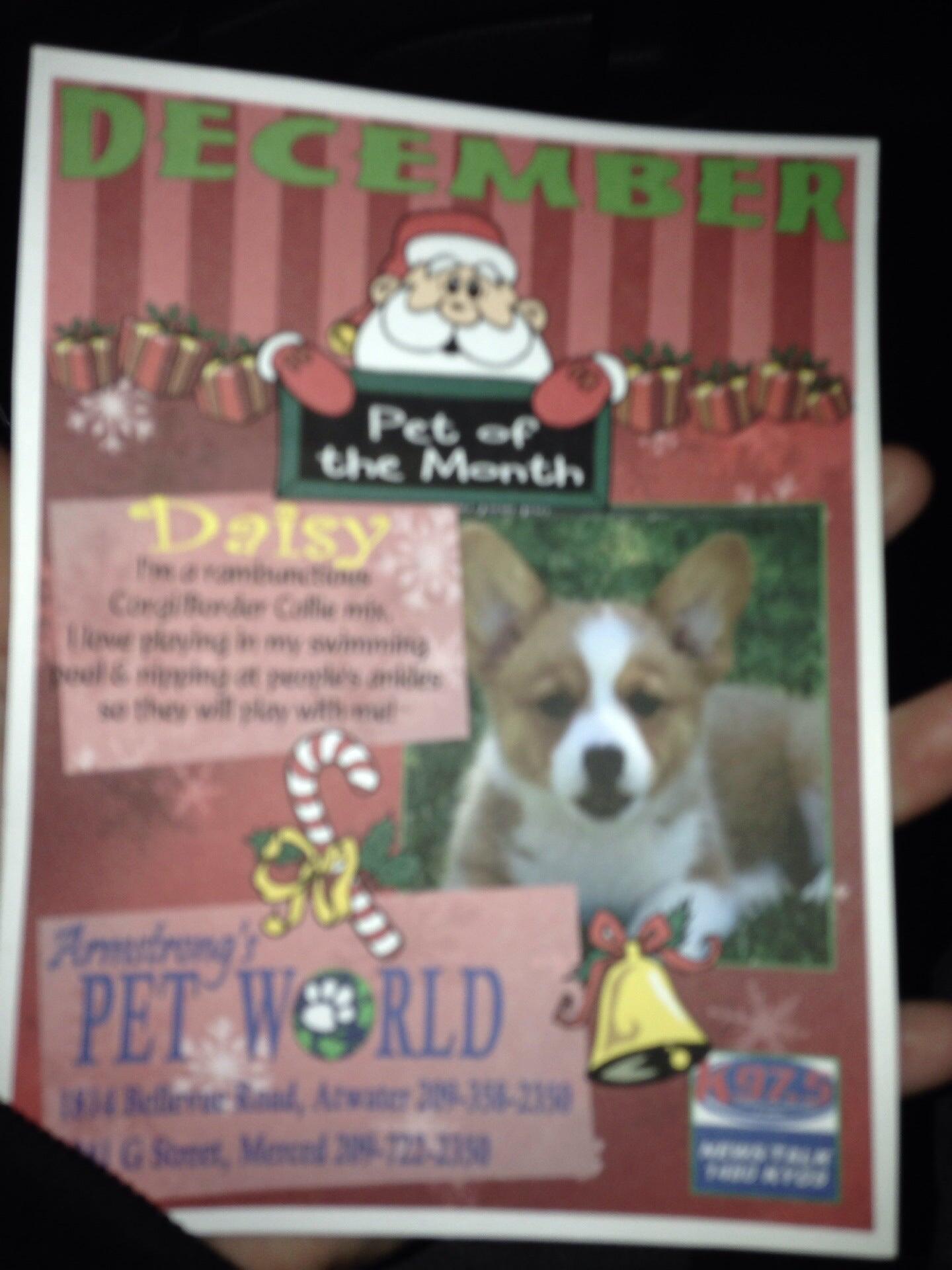 Armstrong's Pet World