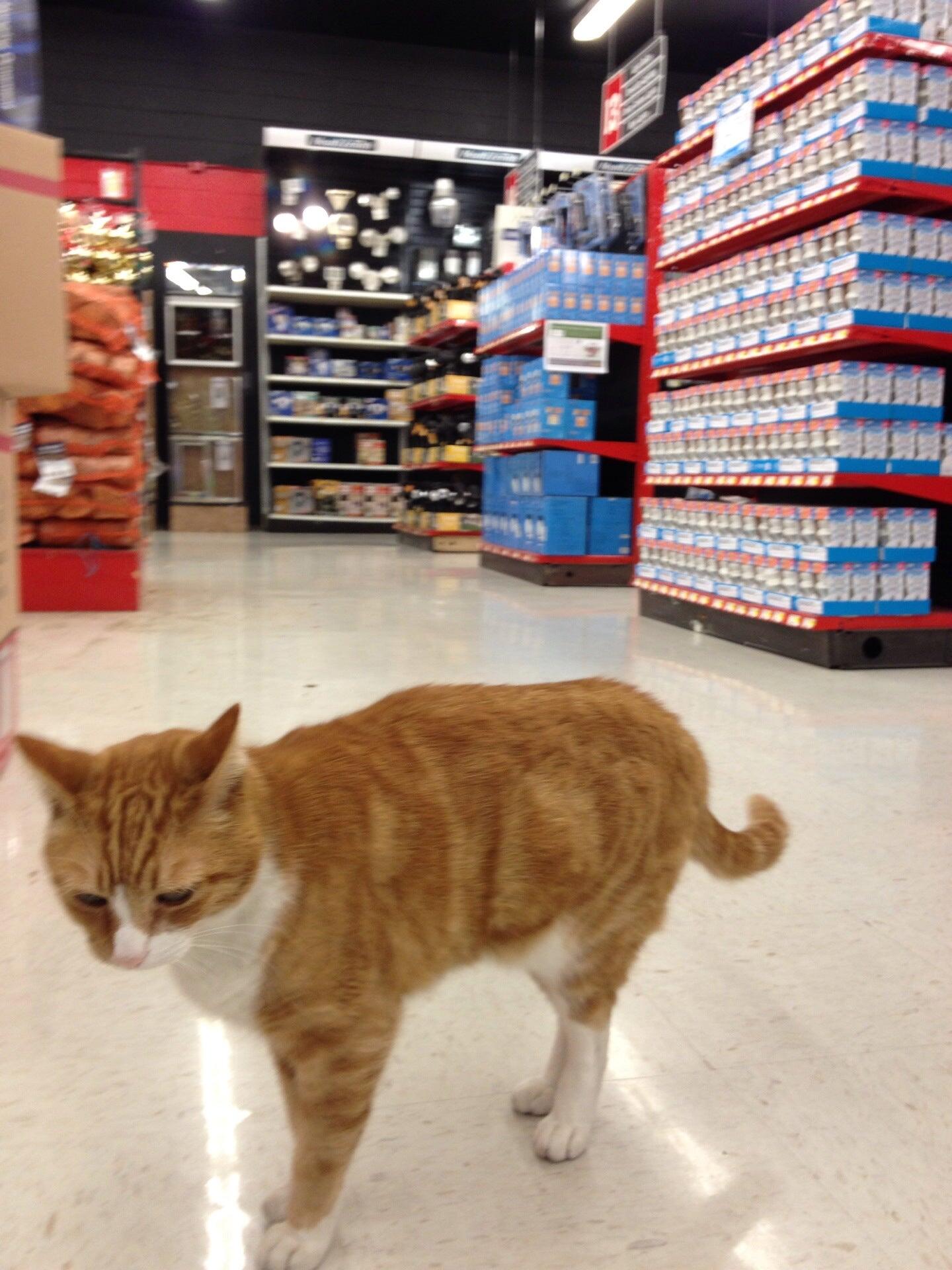 Do It Center - Westlake Village, CA - Nextdoor