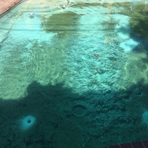 skinny dippers pool service & repair - Bakersfield, CA - Nextdoor
