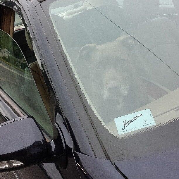 Anderson Farm Supply Inc