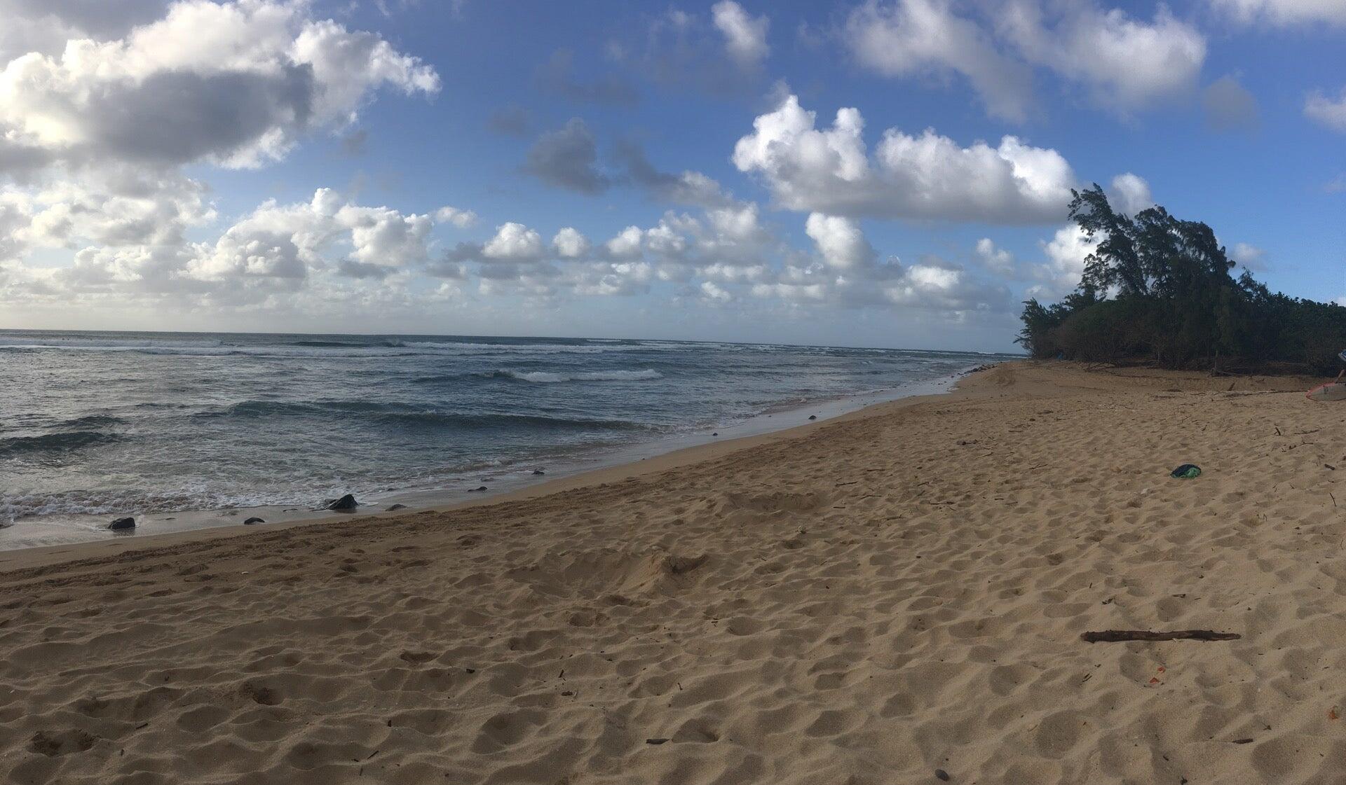 Velzyland Beach - Haleiwa, HI - Nextdoor