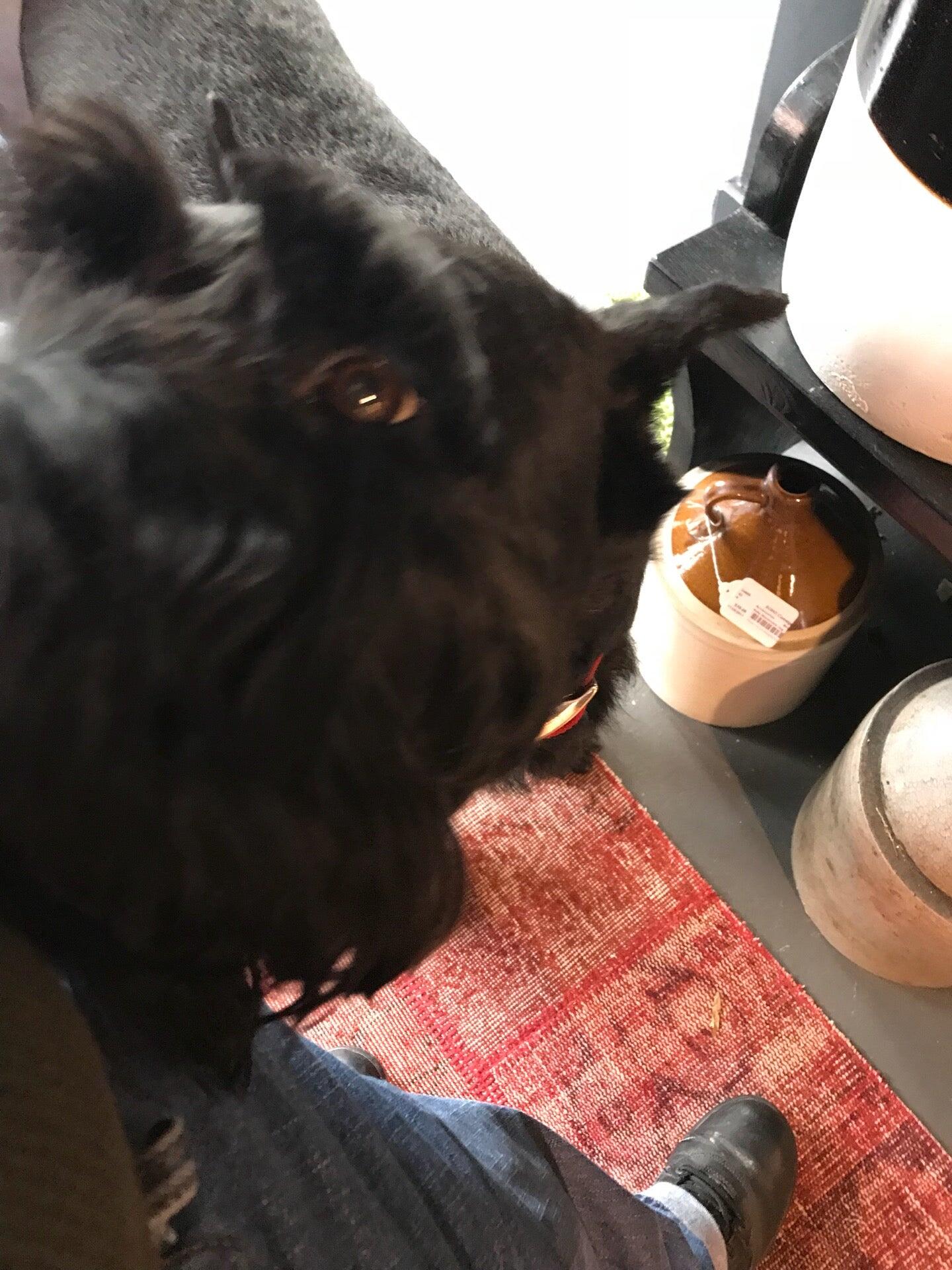 SOHO Consignments Raleigh, NC Nextdoor