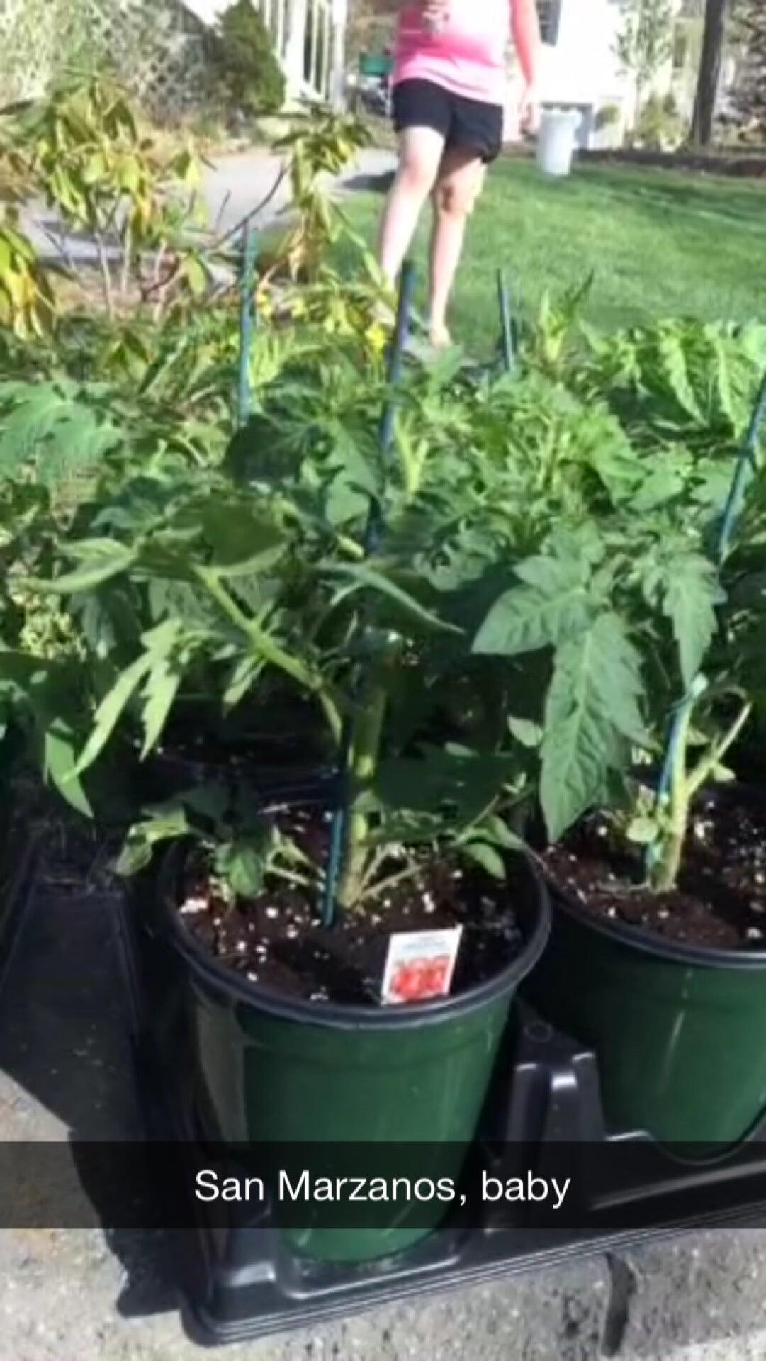 Filanowski Farms - Milford, CT - Nextdoor