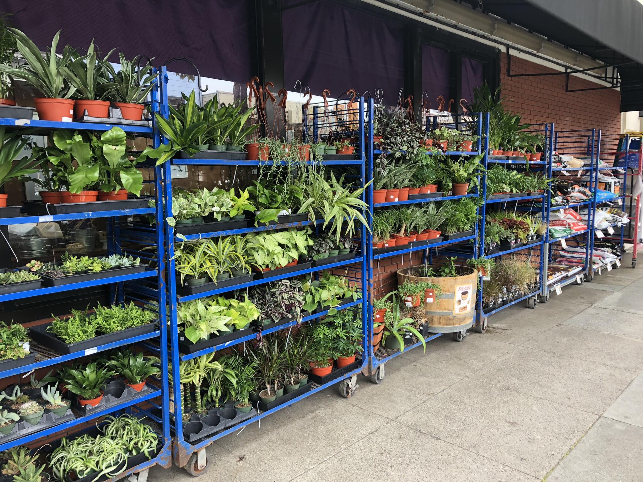 Cole Hardware San Francisco, CA Nextdoor