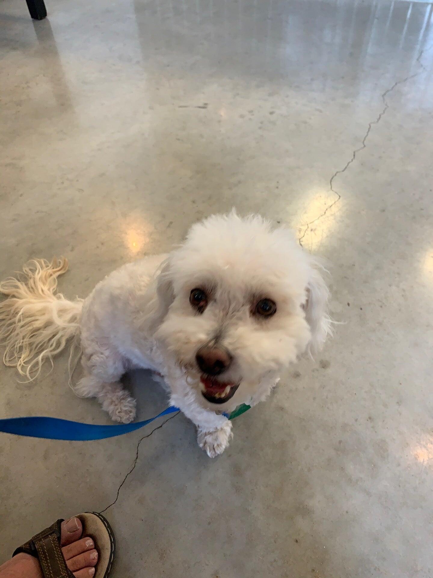 Republic Veterinary Hospital Kyle, TX Nextdoor