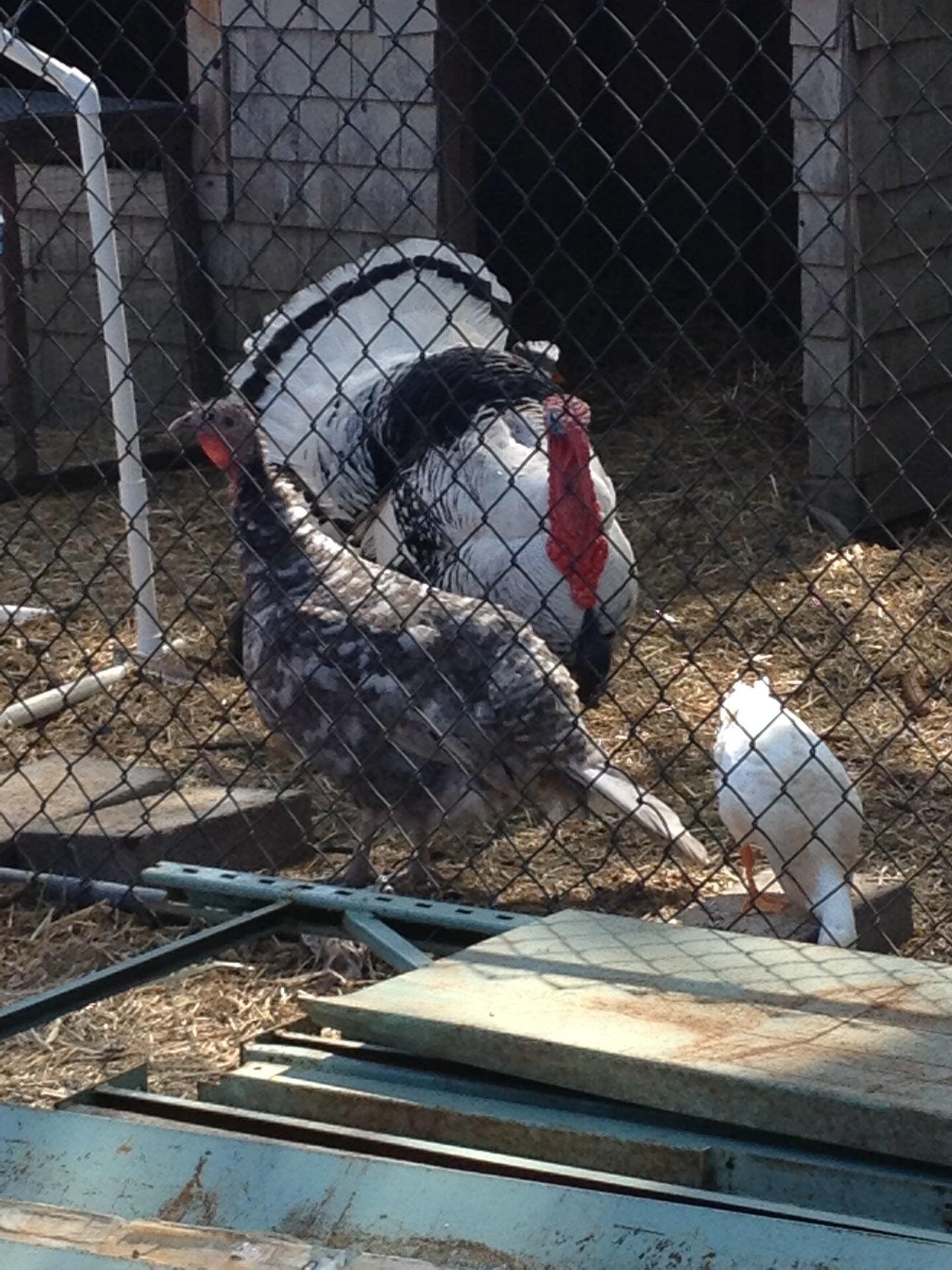 The Feed Store Harrisburg, PA Nextdoor