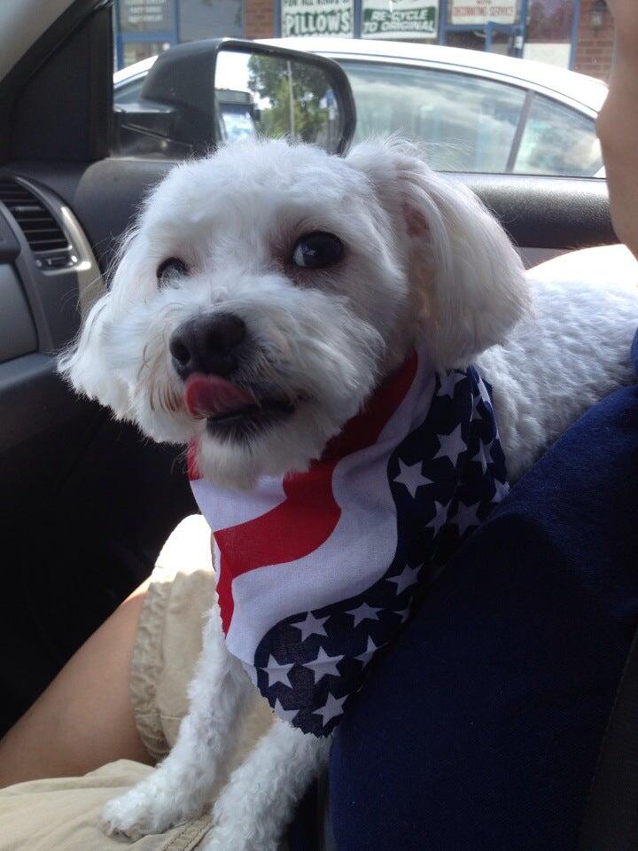 Professional Pet Grooming Salon LLC