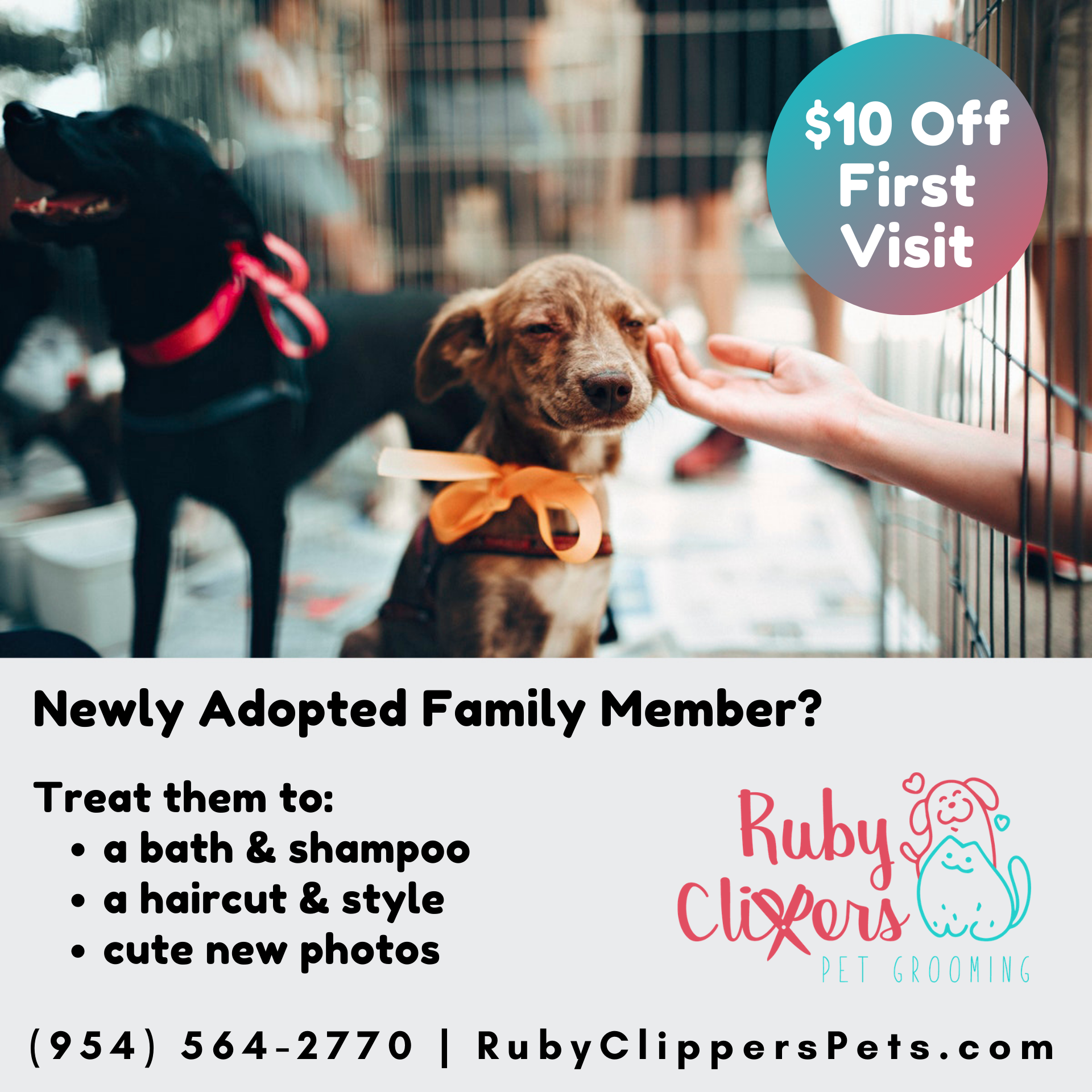 ruby clippers pet grooming