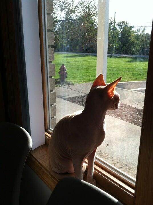 Wright's Corners Animal Care Center