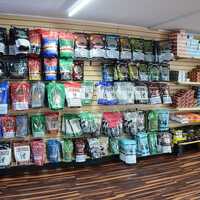 tobacco palace waynesville georgia & VAPE SHOP LAKE LANIER - Reviews, Photos & Phone Number - Updated July 2026 - Tobacco Shop in Hall County, (GA) Tobacco Palace | Brunswick GA