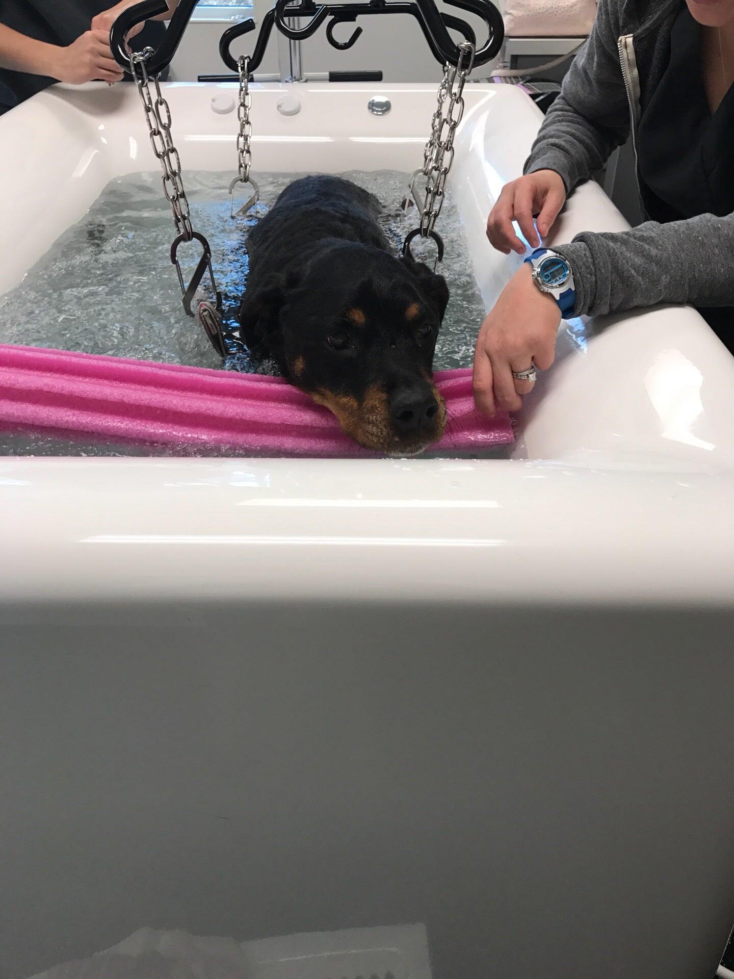 Quartet Veterinary Specialty & Emergency Hospital Cary, NC Nextdoor