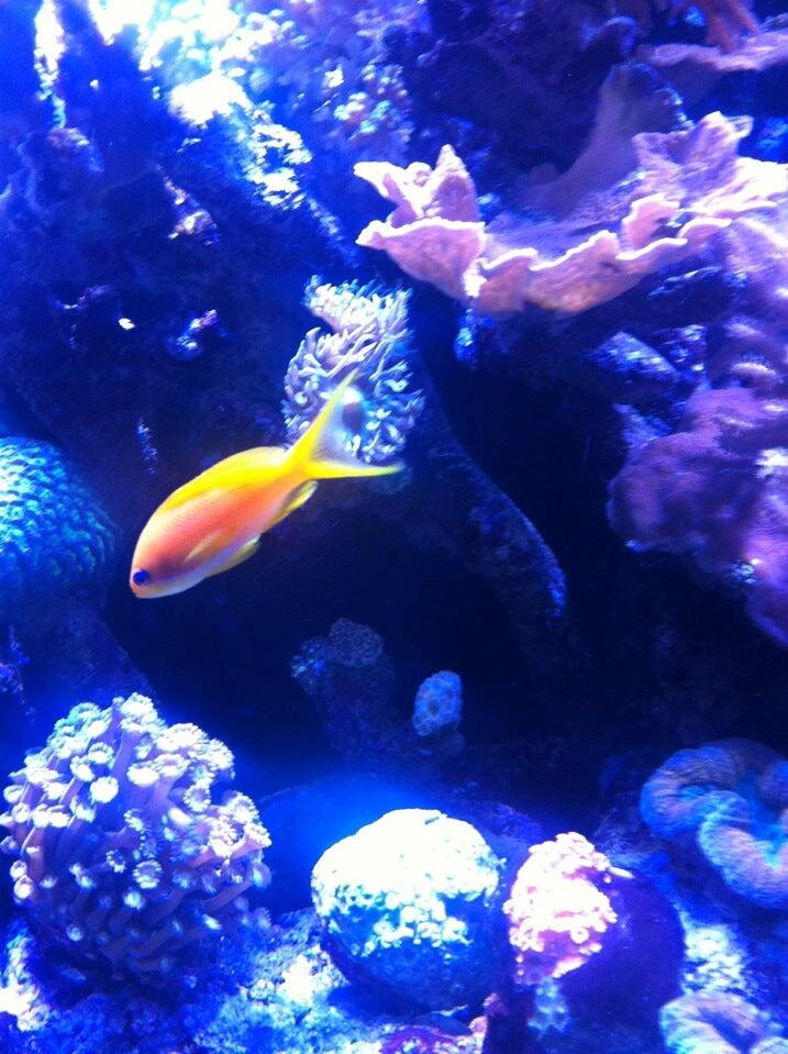 Clearwater Aquatics Leicester Nextdoor