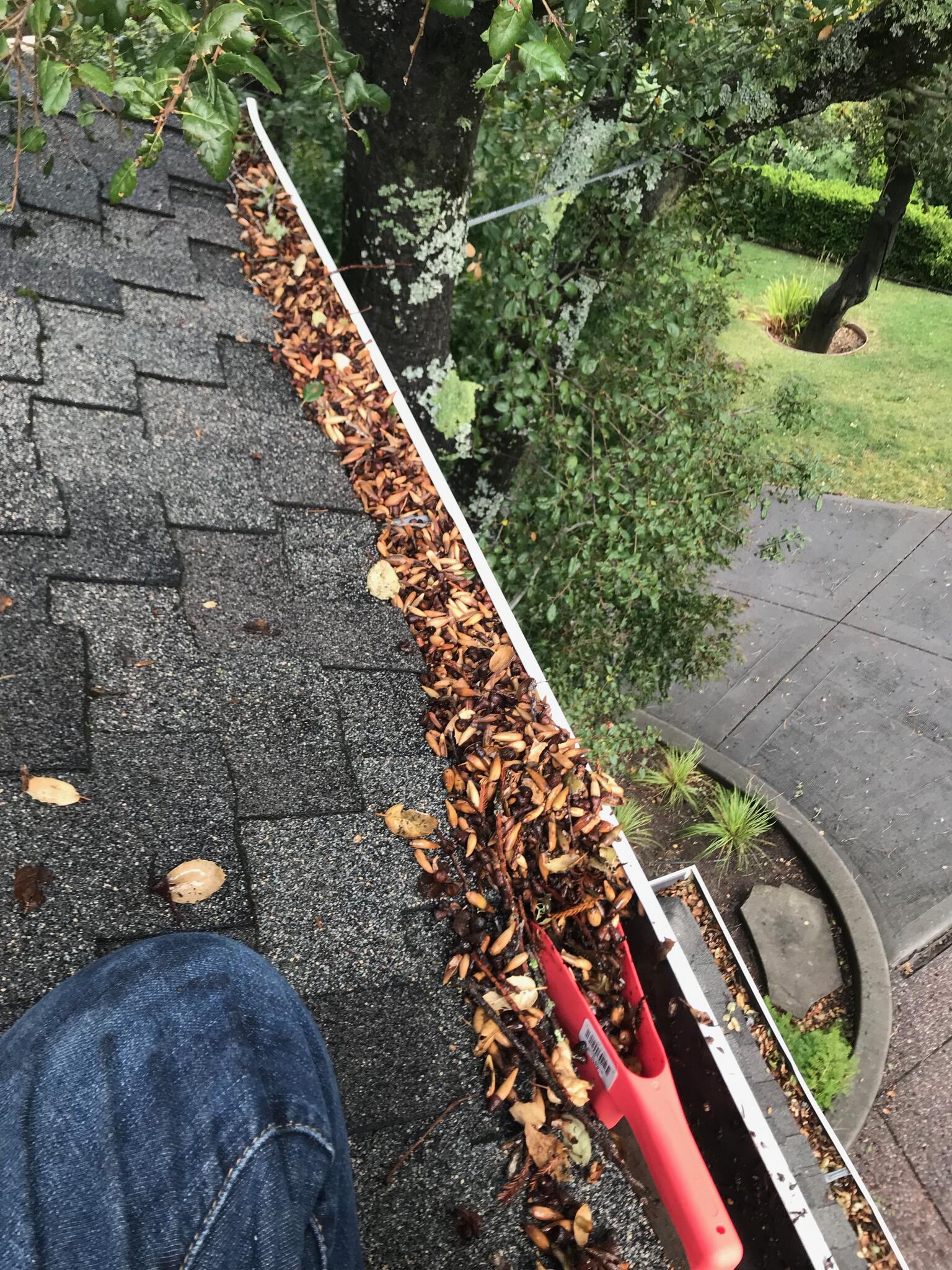 Marin Gutter Doctors Gutter Cleaning & Rain Gutter Protection Nextdoor