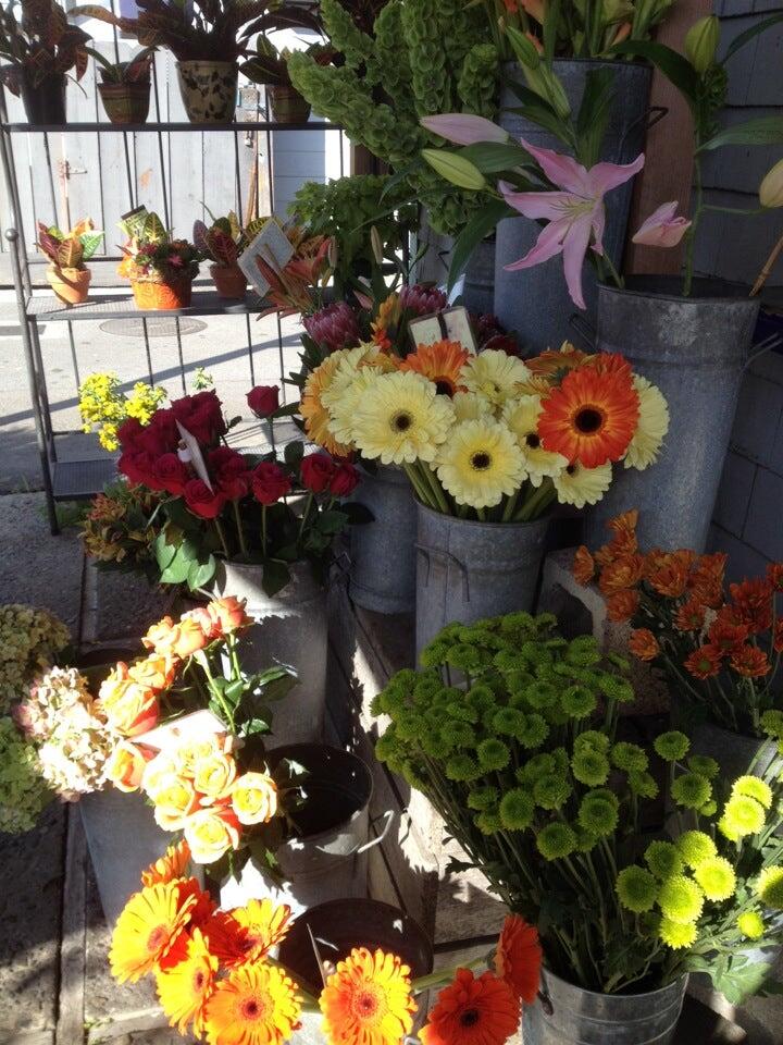 The Flower Shack Santa Cruz CA Nextdoor