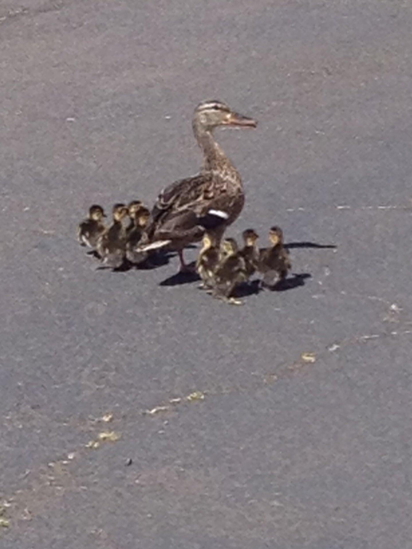 LCC Bookstore Longview, WA Nextdoor