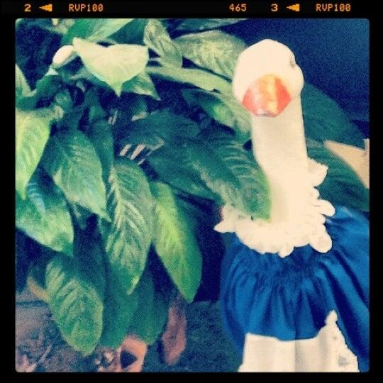 Dairy Delight Washington, MO Nextdoor